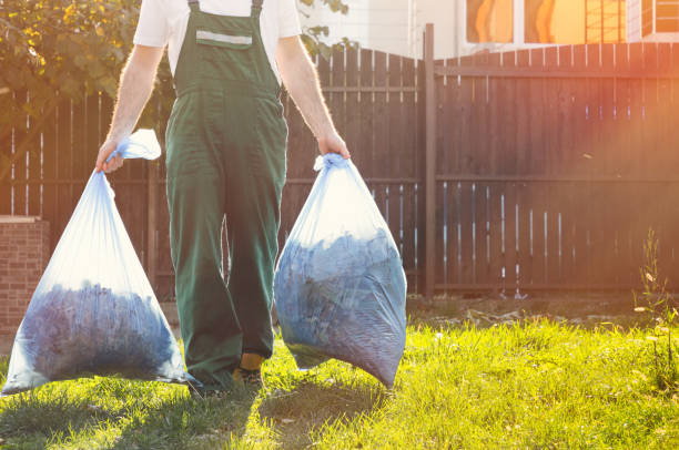 Debris Removal in Mcewen, TN